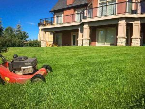 Lawn Care Services
